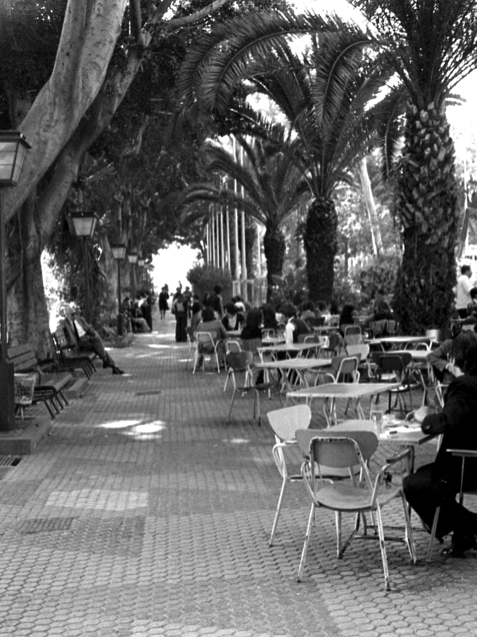 305 Santa Cruz, Teneriffe Dec 1974